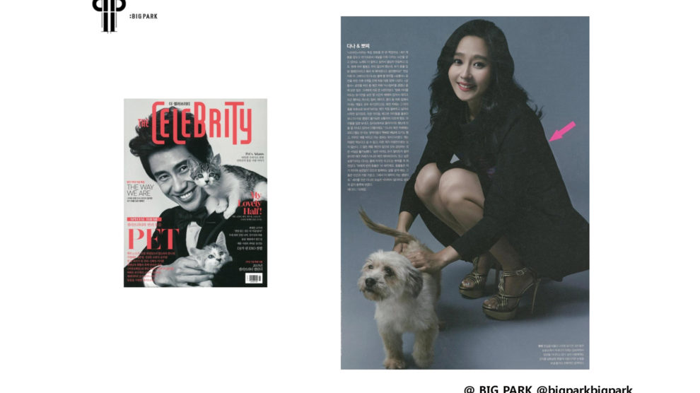 2014 11 CELEBRITY